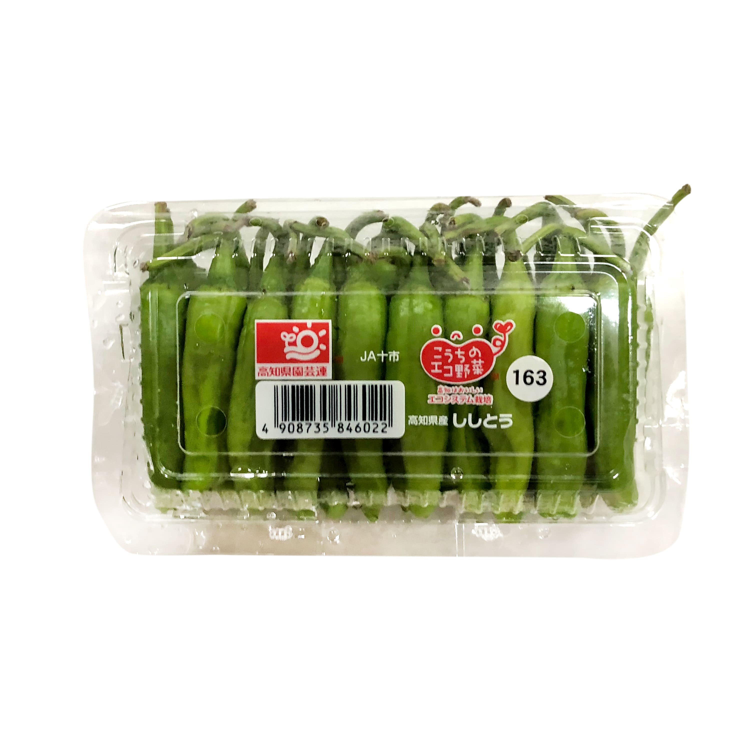 SHISHITOU 青椒仔 - YA